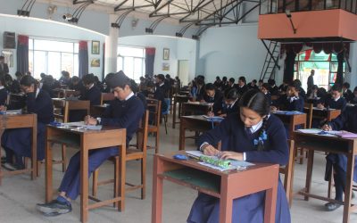 Spring Update from Father Samuel