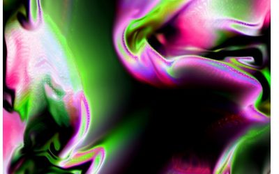 Latest news from our fundraiser Whomp